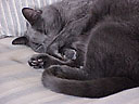 napping
