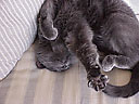 stretch