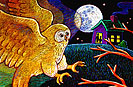 owl