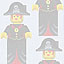 pirate chick